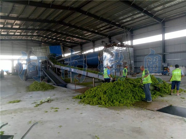 1722417594177057.jpg 山東滸苔烘干項目現場 (1).jpg